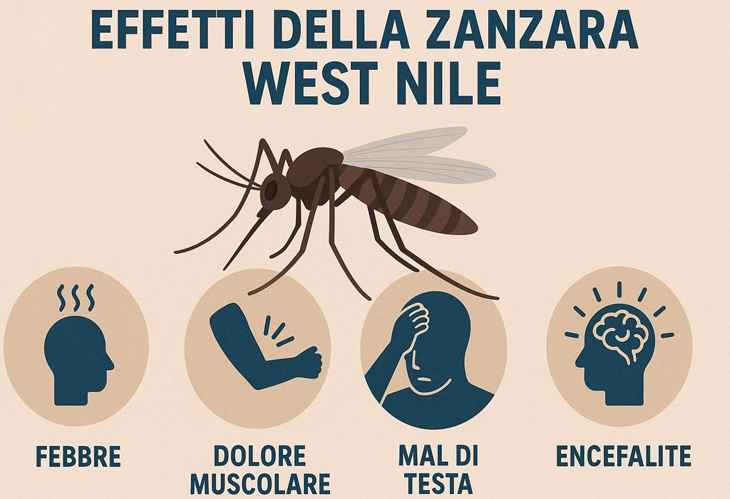 zanzara-west-nile---slide_6816d.jpg
