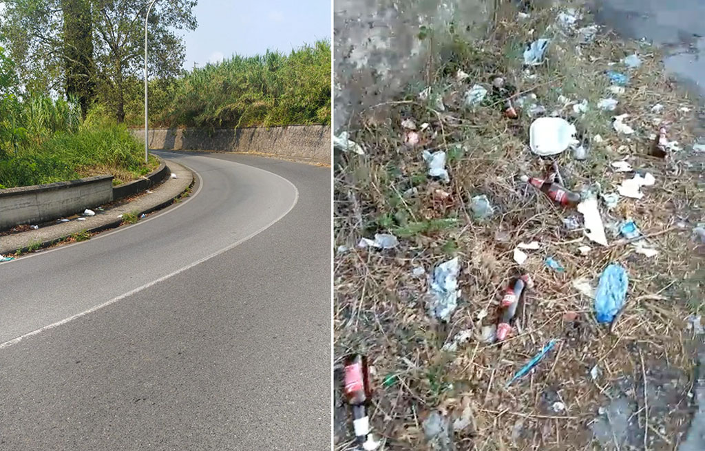 Lamezia, Piccioni su discariche abusive: "Degrado anche nella zona del cimitero, intervenire subito"