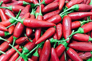 peperoncino_b446d.jpg