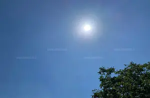 caldo-recordo-202365d6b3e34_96f55_df646_20c74_82f5c.jpg