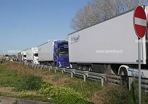 i549b8_c3215_79312.jpg