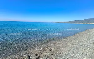 mare_3e82c_be3de_dec02.jpg