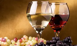 vino-estero-ok_c7589_638cd_ac201_e1488_159fa_ad4b6.jpg