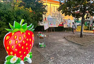 fragola-Image-2026_ad6dd.jpg