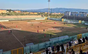 amichevole-vigor-l_ebc27.jpg