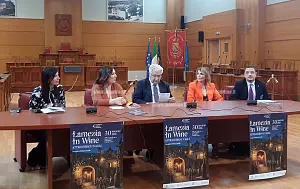 Lamezia-wine-2026-05-29-alle-12.53.16_1dbb5.jpg