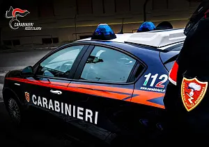cc-reggio_2fe76_9764d_51995_267a4.jpg