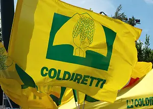 coldiretti-ok-generica_a3e36_23402_521ad_f0f4a_fd616_677ea_e1128_d7282.jpg