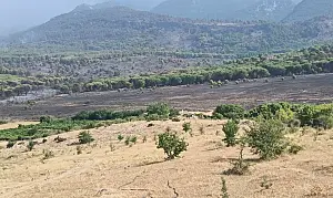 Incendi-Coldiretti-Calabria_844ef.jpg