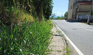 carontefoto_17cdf.jpg