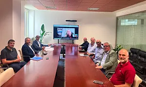 progetto-czlamezia_a63c7.jpg