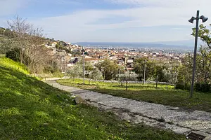 parco-gancia-e-vista-sambaise--Lamezia-2016_c4c1b.jpg