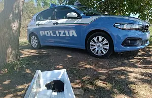 Schermata_2026-09-28_alle_19.31.12_ac248.png