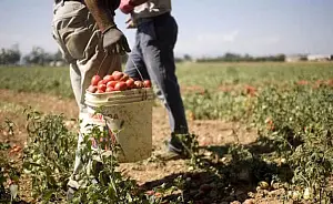 lavoro-sommerso7504e_31f4e_56da8_4b2e0.jpg
