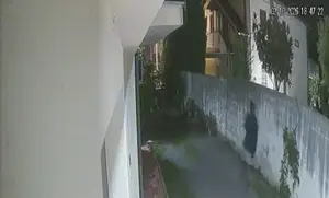 ladri-lamezia_dc03b.png