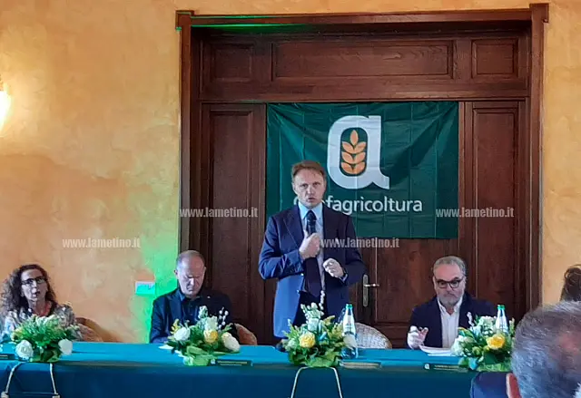 lollobrigida_c4cbe.jpg