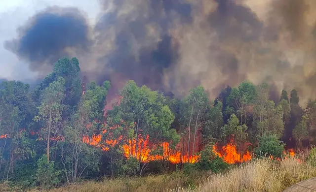 incendio-foto_6b7a2_22b67.jpg