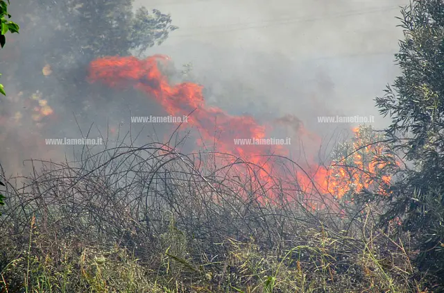 fiamme-incendio-lamezia9eca-cfab86a83c8a_acce9_35d12_acb50_13bbe_7743b.jpg