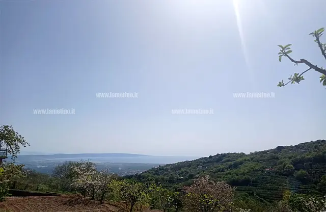 caldo-estivo-aprile3.43_a85f4_87a39_35714.jpg