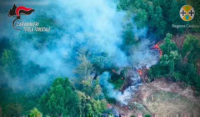 incendio-droneok_3cf35.jpg