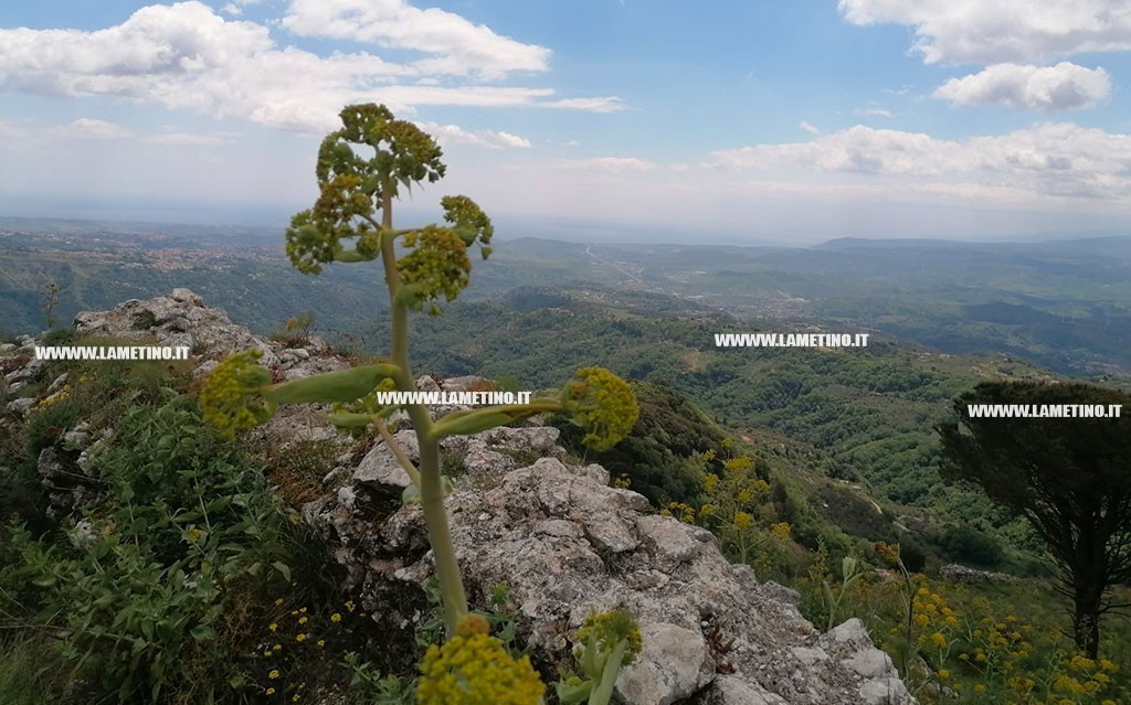 tiriolo1_29f07.jpg