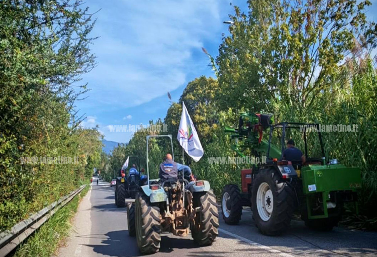 trattori-2026-10-07-alle-13.19.41_ec79c.jpg