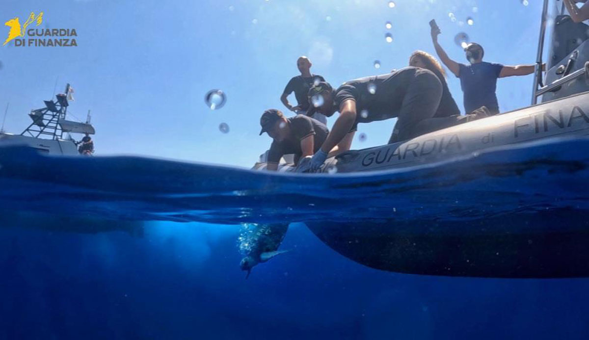Tornano in mare nel Vibonese “Franca” e “Antonella”, le tart