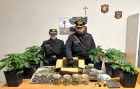 Arrestato 55enne dai carabinieri per coltivazione e detenzione di marijuana Carabinieri-Sellia-Marina_720af.jpg