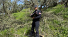 Casi di deturpazione ambientale scoperti a Squillace, abbattute e spiantate oltre 280 piante di ulivo: sanzioni PHOTO-2026-04-14-10-53-07_646d4.jpg