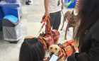 Tre giorni di Pet Therapy in vista delle festività pasquali con l'UCSN Sezione Calabria: tappa anche all'ospedale di Lamezia Pet_te_bdab5.jpg