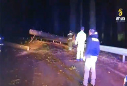 Maltempo, albero cade su auto nel Vibonese: un ferito Schermata-2026-02-11-alle-19.54.33_be367.jpg