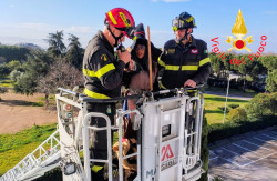 Lamezia, la Befana dei Vigili del Fuoco in visita al reparto di pediatria dell’ospedale Unknown-5_1b5c8.jpg