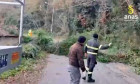 Lavori di messa in sicurezza di alberi pericolanti sulla Trasversale delle Serre alberi-2025-12-13-alle-15.14.22_91b7b.jpg