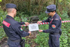 Continua la lotta dei Carabinieri ai reati ambientali in Calabria, sequestri e denunce cctav_85329.jpg