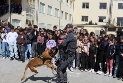Lamezia, la Guardia di Finanza incontra gli studenti: formazione e dimostrazione con le unità cinofile cinofili-2026-03-30-alle-18.12.09_11d42.jpg
