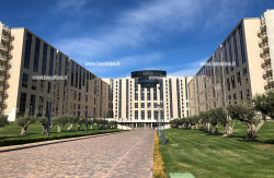 Approvazione delle strategie delle aree interne per il periodo di programmazione della SNAI 21/27 cittadella-regionale-novembre-2017-1_d19cc_b7999_73ea8_4e67d.jpg