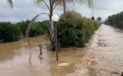 Lamezia tra territori più colpiti da eventi meteo estremi: il nuovo report “Città Clima” esondato-fiume-amato06.26_53582_40905_f8bd9.jpg