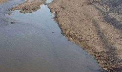 Lamezia, Gianturco e De Sensi: "Affidati i servizi di ingegneria per il ripristino dell'officiosità idraulica del fiume Amato a Sant’Eufemia" fiumee_07d5c.jpg