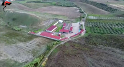 Macellazione clandestina di cavalli, un arresto e 5 denunce nel Crotonese mac-2025-11-14-alle-08.22.09_c1d21.jpg