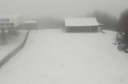 Arriva il freddo in Calabria, prima neve imbianca la Sila neve_945b9.jpg