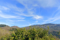 Oggi è l'equinozio di primavera, in Calabria ancora meteo incerto reventino-2025-04-21-alle-18.15.34_f5b7c_93a84.jpg