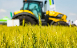 Investimenti infrastrutture rurali bis, pubblicata graduatoria Avviso di 25 milioni di euro: presenti anche comuni del Lametino ruraliafa71_bcffd_44149_adb3e.jpg