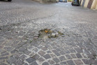 Lamezia, il consigliere Masi interroga il sindaco sulla manutenzione di verde e strade situazione-strade-112022-sampietrini7_6f97a_bf0cb.jpg