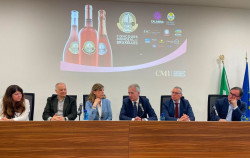 A Cirò il Concours Mondial de Bruxelles, Gallo: “Evento che consolida l’immagine internazionale della Calabria del vino” vino-Image-2026-03-24-at-13.02.57_d8e28.jpg