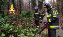 Calabria nella morsa del maltempo: oltre 90 interventi dei vigili del fuoco vvf-Image-2026-01-10-at-14.49.08_5ea1a.jpg